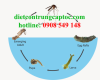 Phun thuốc diệt muỗi tại quận 1 giá rẻ Phun thuốc diệt muỗi tại quận 1 giá rẻ