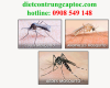 Phun thuốc diệt muỗi tại quận 3 giá rẻ Phun thuốc diệt muỗi tại quận 3 giá rẻ