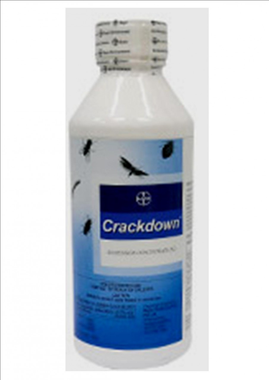 Crackdown 10SC concentrate 1L  73628