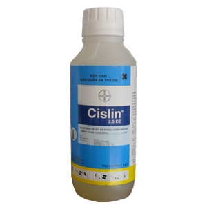 thuoc-diet-moi-mot-cislin